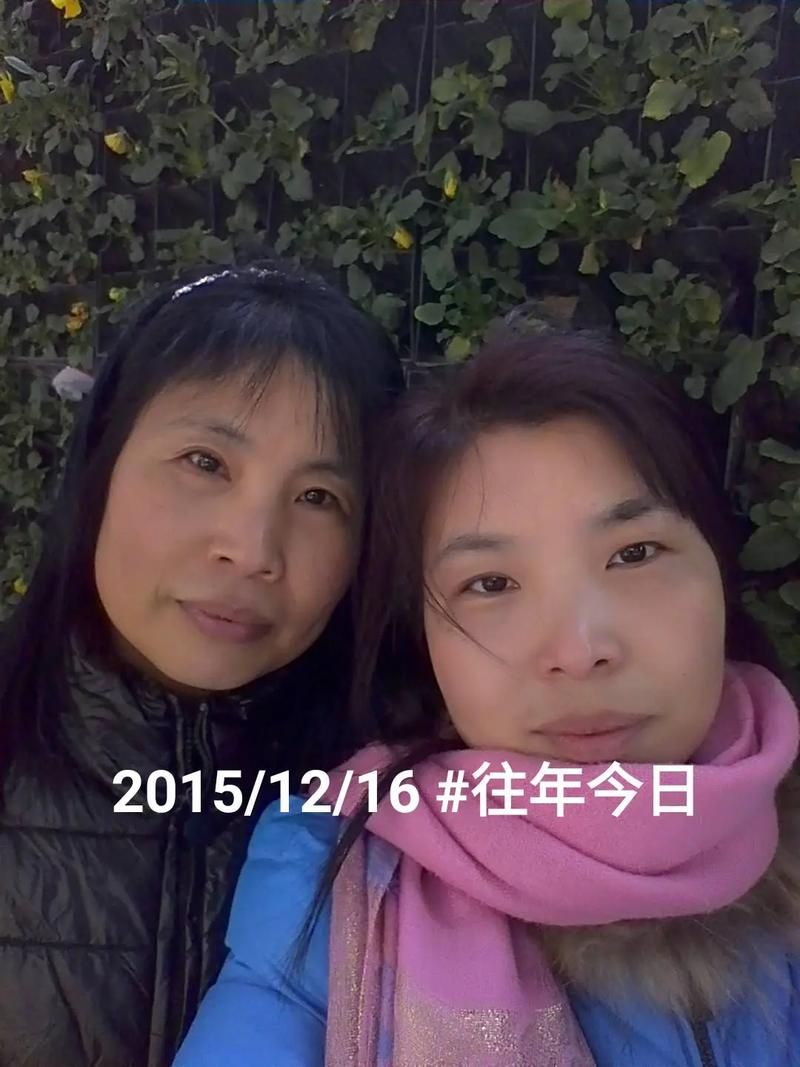 2015年珍贵照片回顾：免费下载高清图片素材