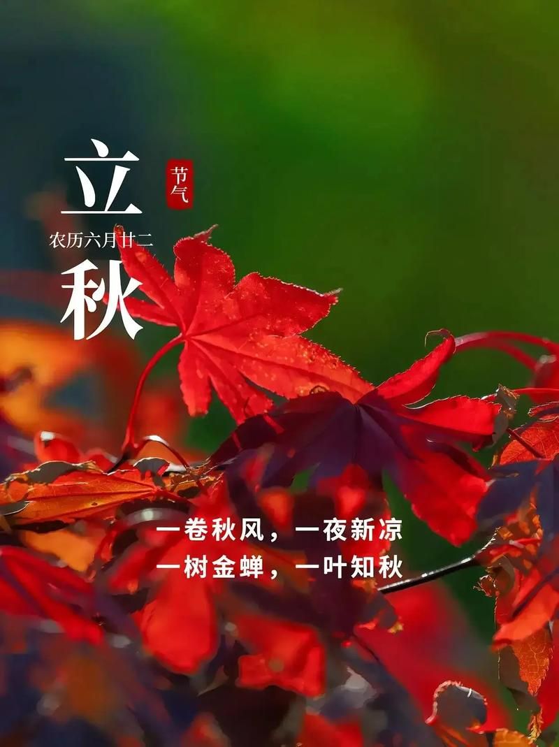 2021年立秋图片精选：迎接秋天的第一缕清风