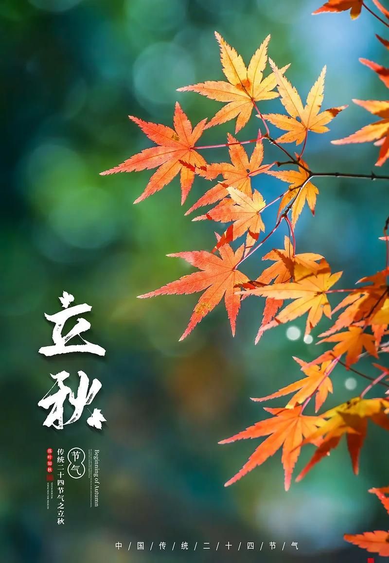 2021年立秋图片精选：迎接秋天的第一缕清风