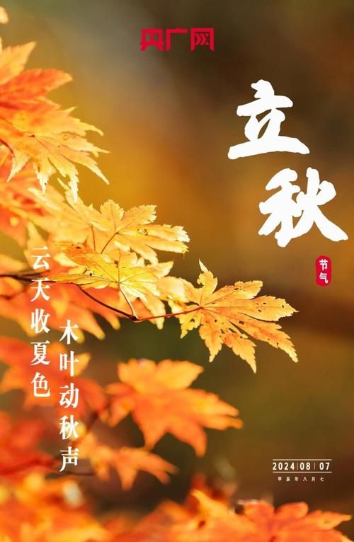 2021立秋图片素材免费下载：高清又精美