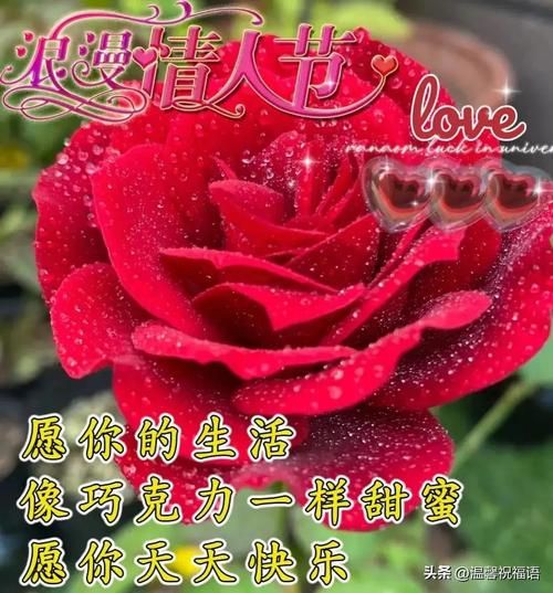 2024最火情人节快乐图片：高清免抠素材分享