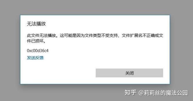AVI文件播放不了？你需要一款强大的AVI播放器