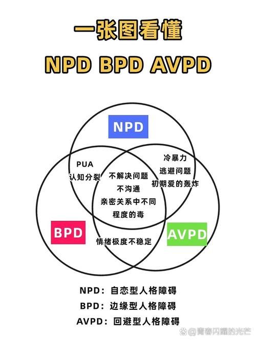 BD是什么？全面解析BD的各种含义及应用