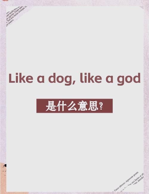 krdog是什么意思？网络流行语krdog含义深度解读