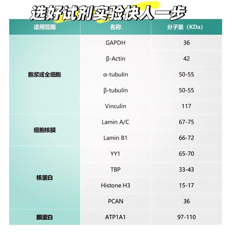 WBT是什么？详解WBT的三种含义及应用