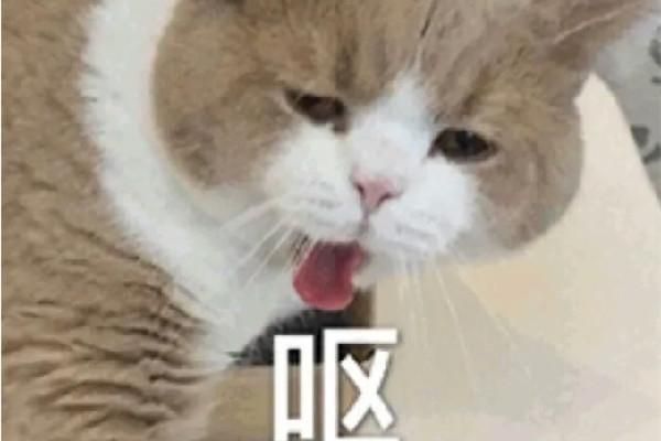 “yue”到底是什么意思？一文揭秘其含义和用法