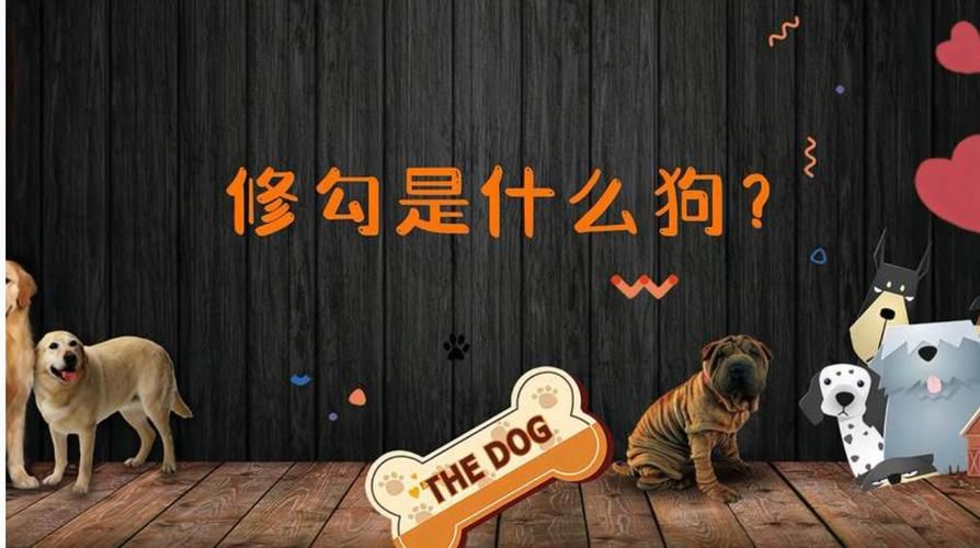 “修勾是什么意思？”网络流行语修勾究竟指什么？
