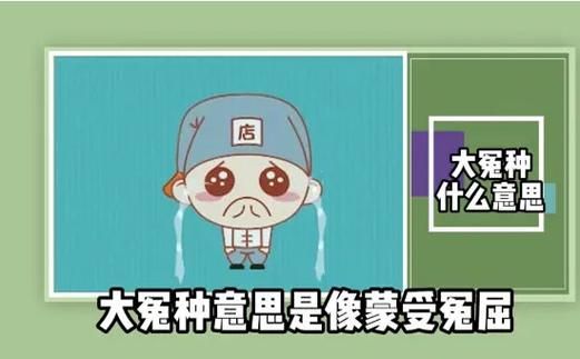 “冤种”是什么意思？揭秘网络流行语“冤种”的背后故事