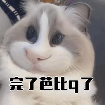 “完了芭比Q了”是什么梗？详细解读网络流行语的含义