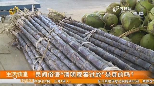 “清明蔗毒过蛇”是真的吗？揭秘甘蔗霉变的致命风险！