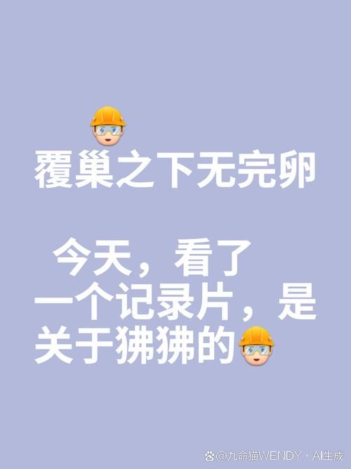 “然并卵”的幽默解读：无奈与调侃并存的网络热词