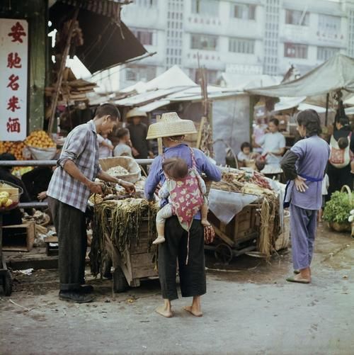 上世纪60年代：影响我国农业的重大事件