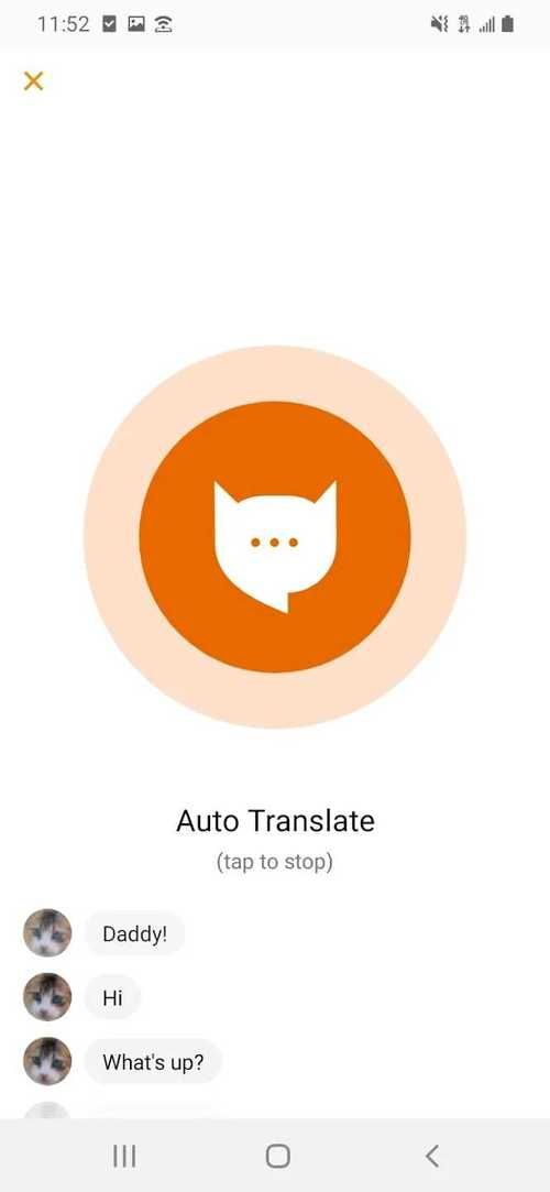 下载MeowTalk，轻松get猫咪的“小秘密”！
