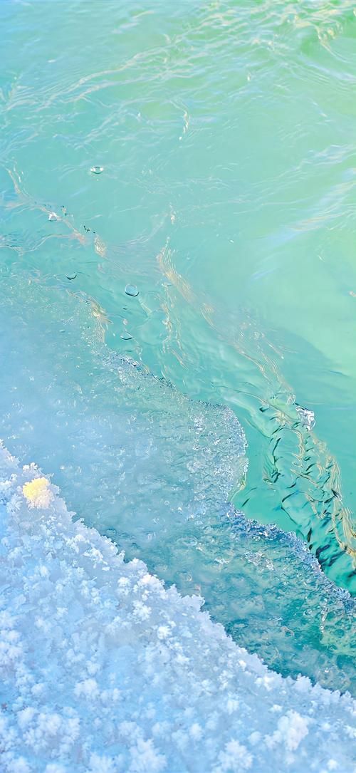 下载珍爱网手机版：海量单身用户，真诚交友，免费下载