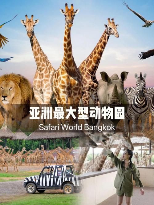 世界上最大的动物园是哪个？带你探索动物世界！