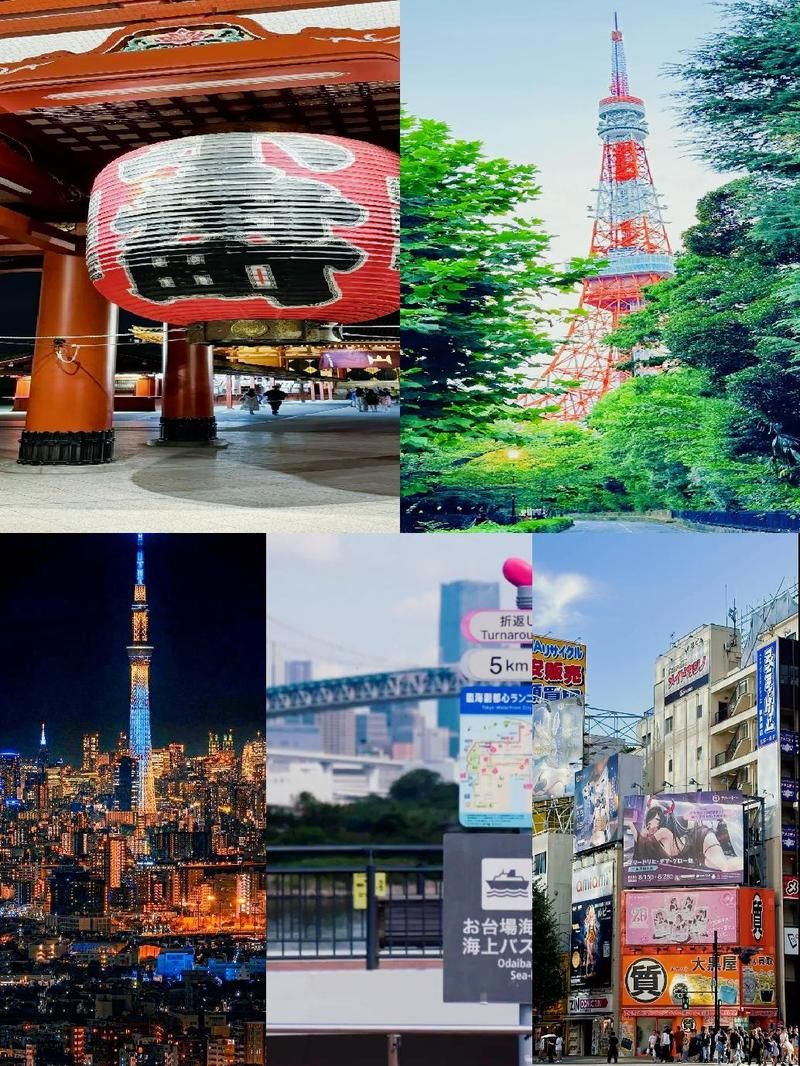 东京熟与日本文化：一个独特的视角解读