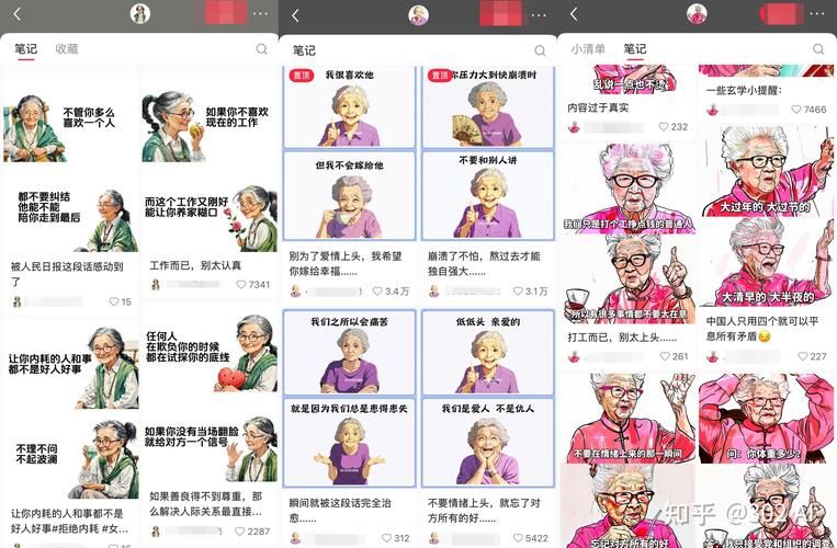 中国老奶奶的网络秘籍：Windows VPS使用技巧分享