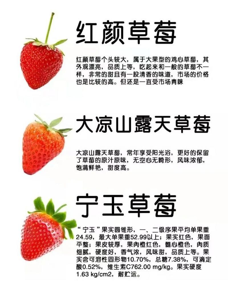 为什么叫奶油草莓？章姬草莓的别名由来