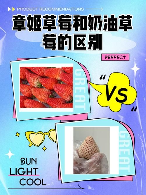 为什么叫奶油草莓？章姬草莓的别名由来