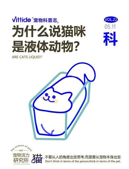 为什么猫咪可以像液体一样变形？科学解释猫咪神奇现象