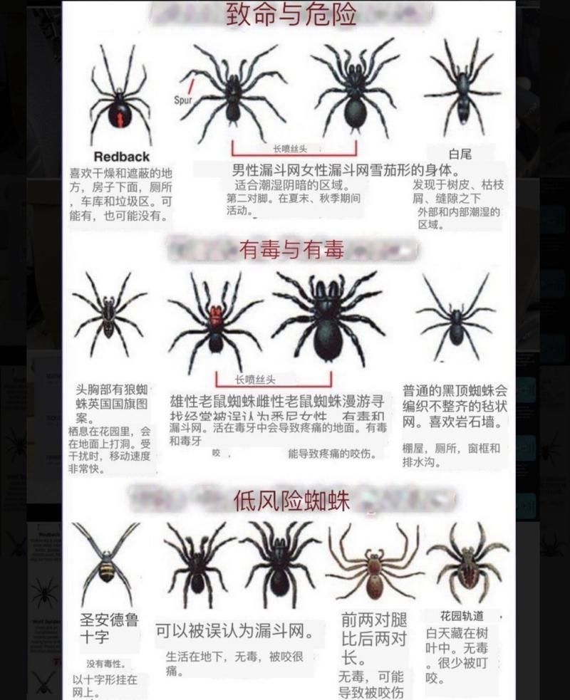 为何初中生会模仿蜘蛛侠坠楼？深层原因值得深思