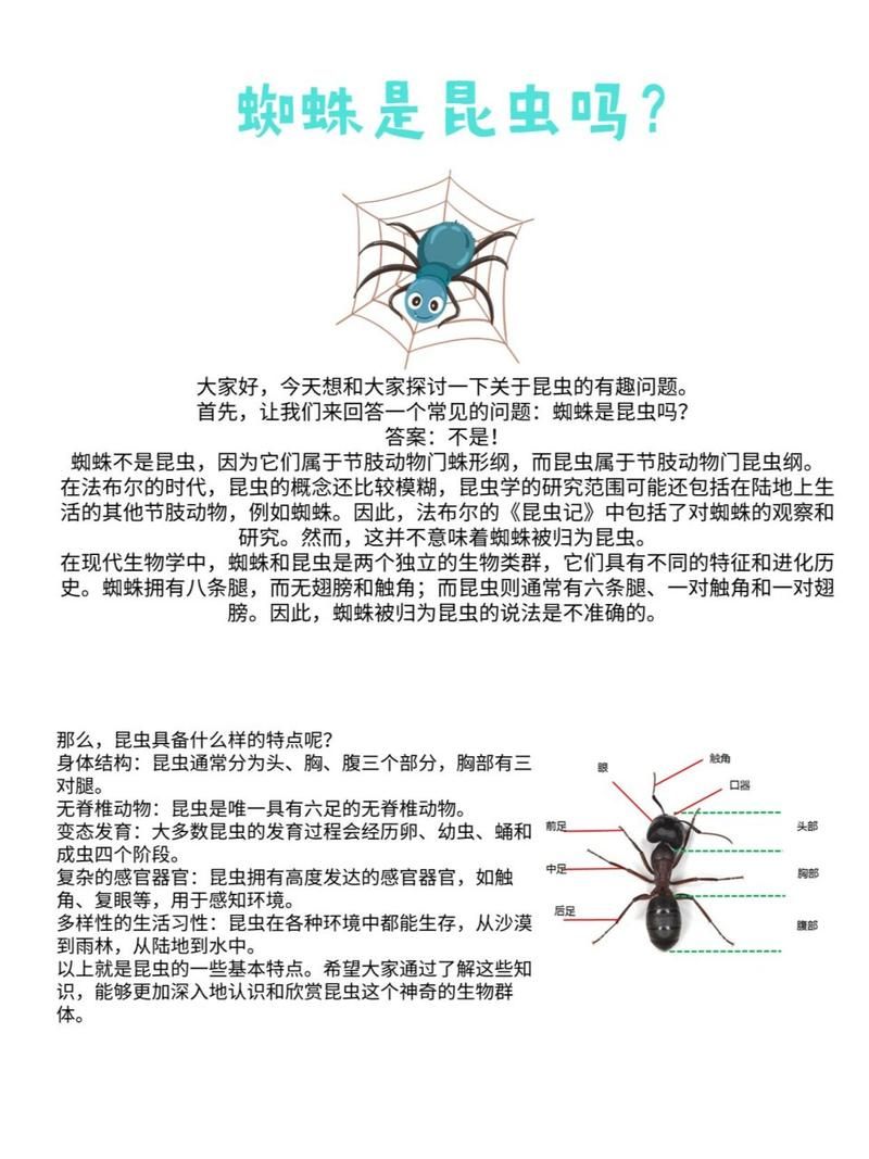为何初中生会模仿蜘蛛侠坠楼？深层原因值得深思