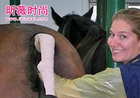 人与马杂交的可能性有多大？专家学者深度解读