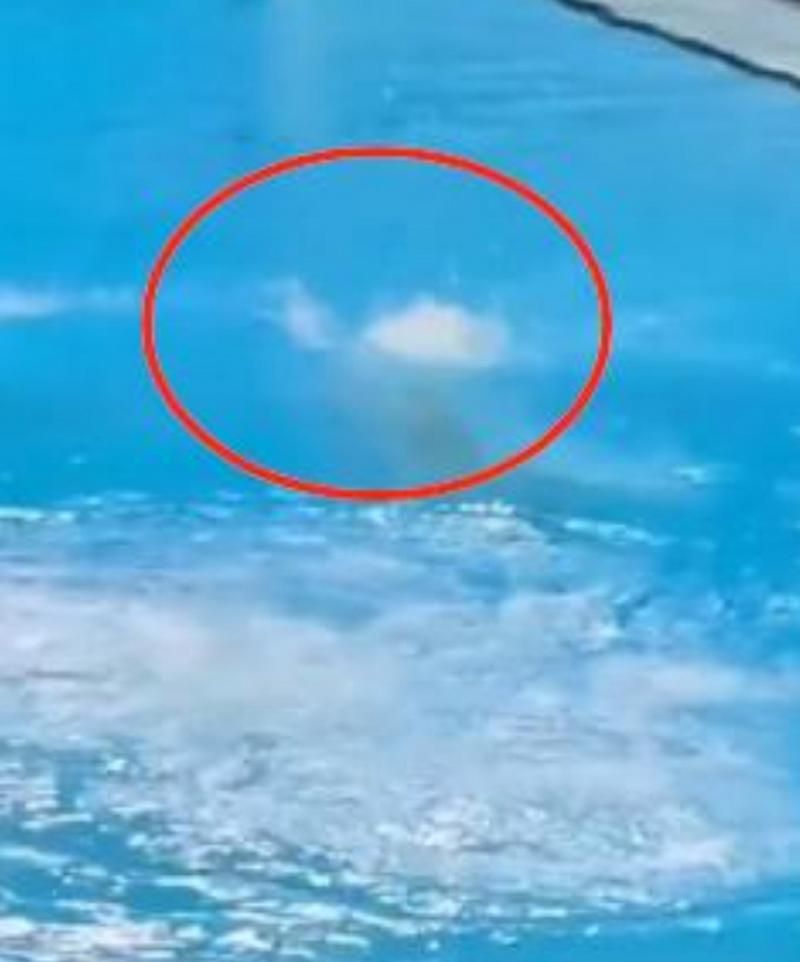 令人震惊！怕水30年不洗澡，她的生活是什么样的？