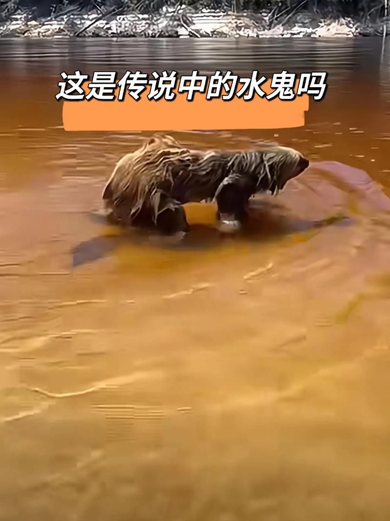 令人震惊！怕水30年不洗澡，她的生活是什么样的？