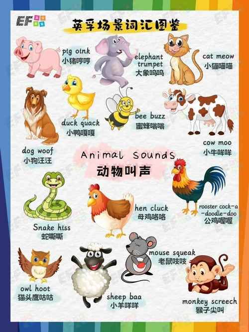 以下哪种动物的叫声和猫咪差不多？答案揭晓！