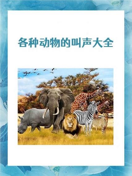 以下哪种动物的叫声和猫咪差不多？答案揭晓！