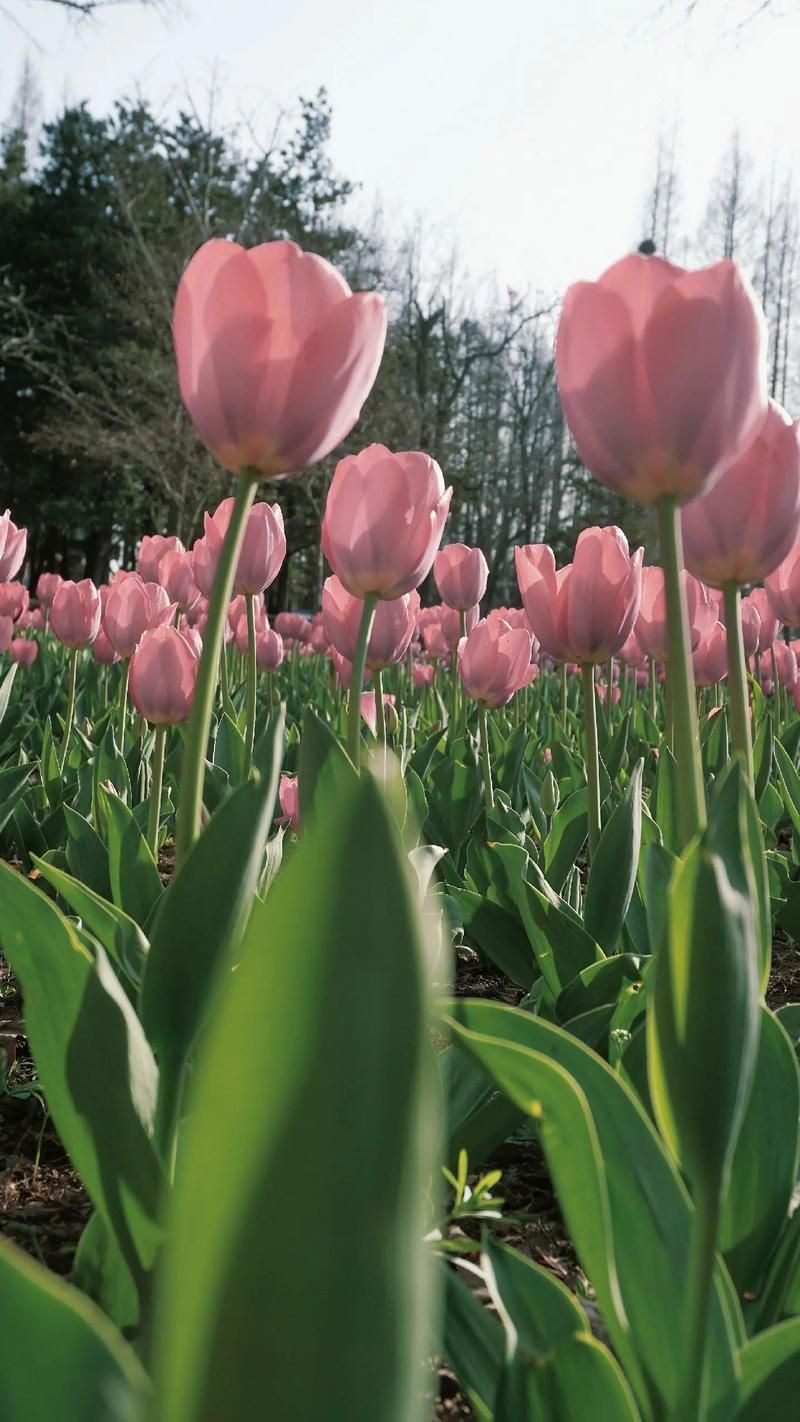 你不可错过的：超治愈系电影里的正太