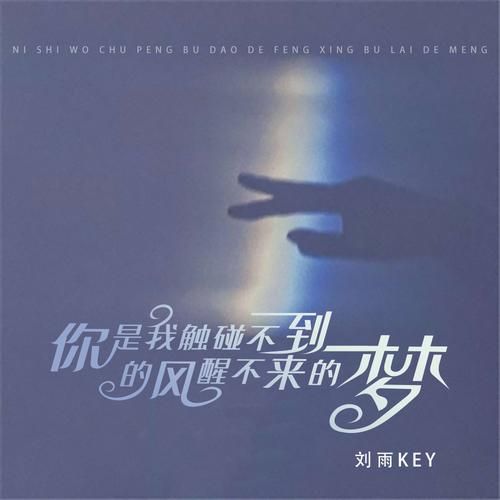 你是我触碰不到的风，醒不来的梦是什么歌？回小仙演唱的歌曲