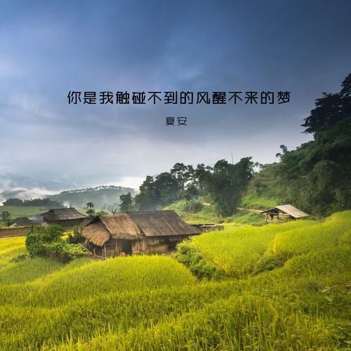 你是我触碰不到的风，醒不来的梦是什么歌？回小仙演唱的歌曲