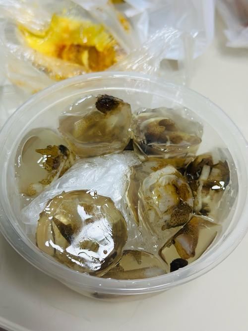 你知道福建土笋冻是什么做的吗？揭秘神秘食材！