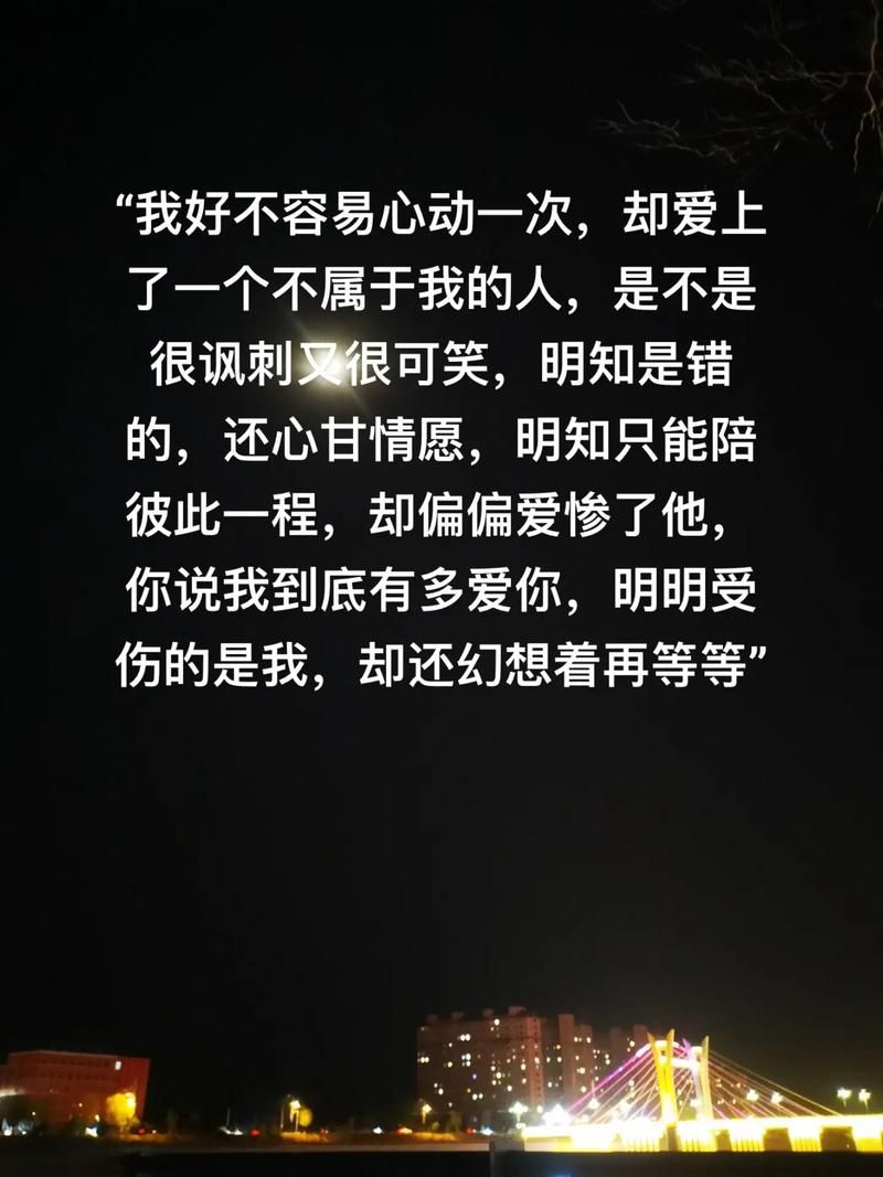 假如爱是一种错：寂寞与挣扎的爱情故事