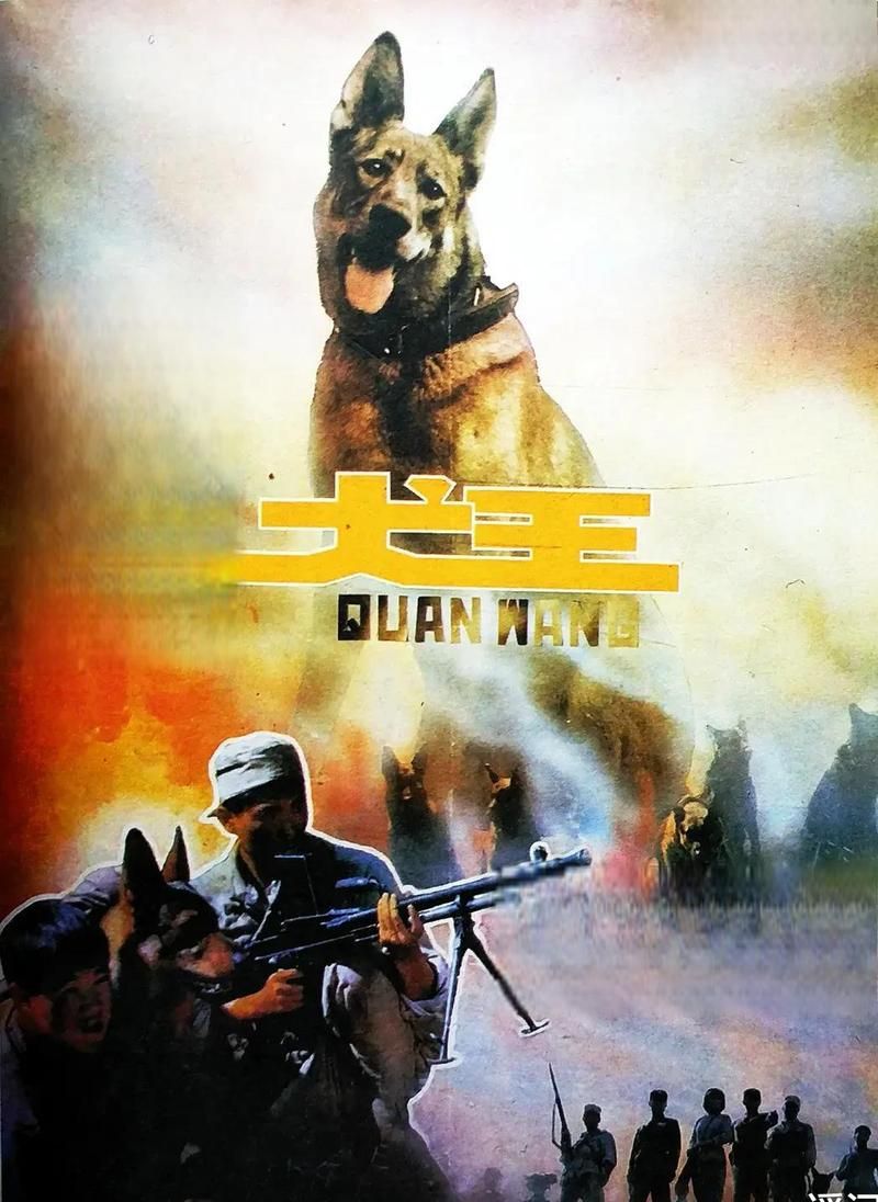 免费观看犬王：1993经典战争片，致敬英雄军犬！