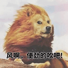 冷风吹入我胸口，这是一种怎样的体验？