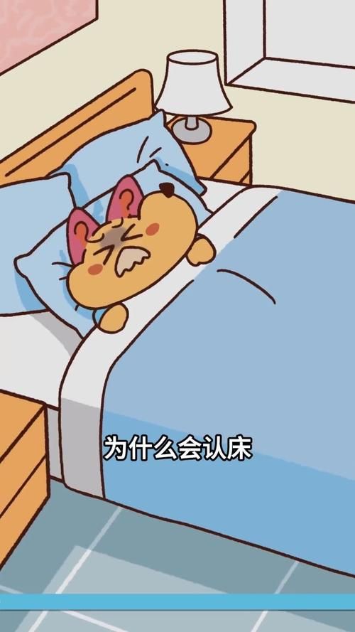 出差旅行认床睡不着？这其实是你的大脑在保护你！