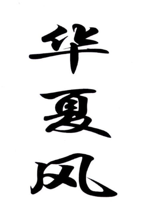 华夏风新材料公司商标申请被驳回原因分析