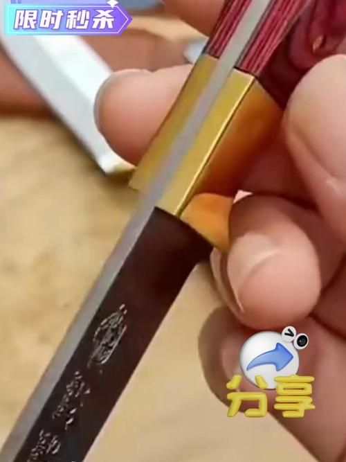 单刀直入好看吗？网友评价两极分化，你准备去看吗？