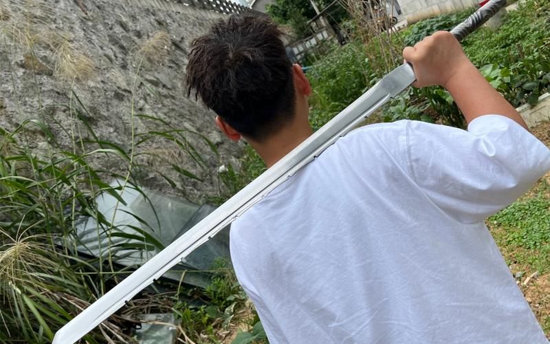 单刀直入好看吗？网友评价两极分化，你准备去看吗？