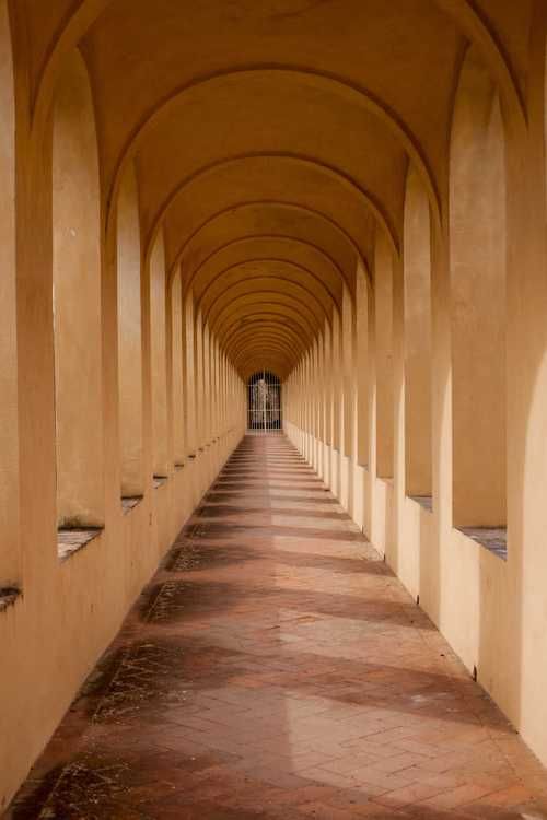 历史的走廊：在其中一条走廊上，我发现了尘封的秘密！