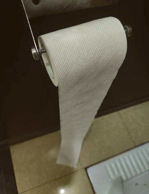 厕所男的窘境：卫生纸用光，急求援助