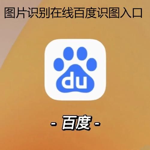 只有贴图显示？快速解决游戏画面问题