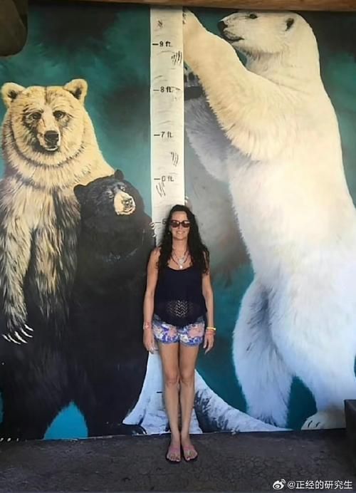 史诗级对决！北极熊大战企鹅，胜负难料！