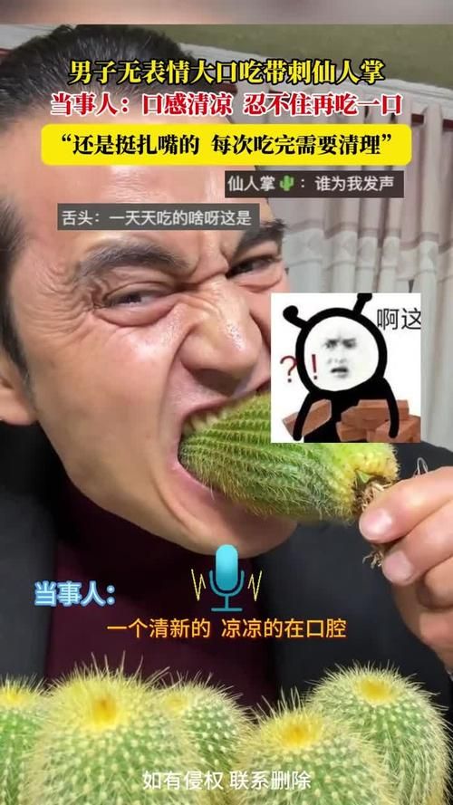 吃仙人掌不觉得扎嘴？骆驼的秘密武器大揭秘！