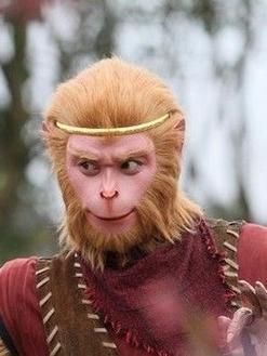 各版新西游记孙悟空演员对比，谁是你心中的齐天大圣？