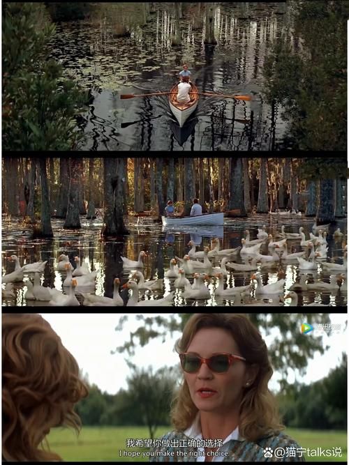 各版本恋恋笔记本下载，满足你的观影需求