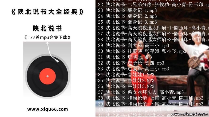 各类说书资源下载：满足你的听书需求